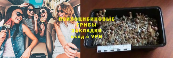 ешки Богданович