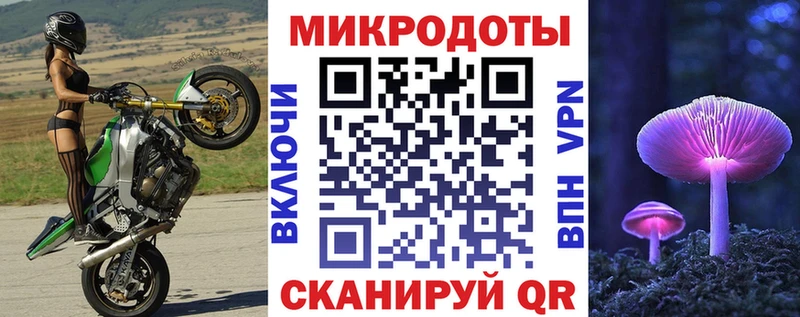 Галлюциногенные грибы прущие грибы  Плёс 