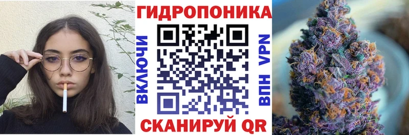 Каннабис план  Плёс 
